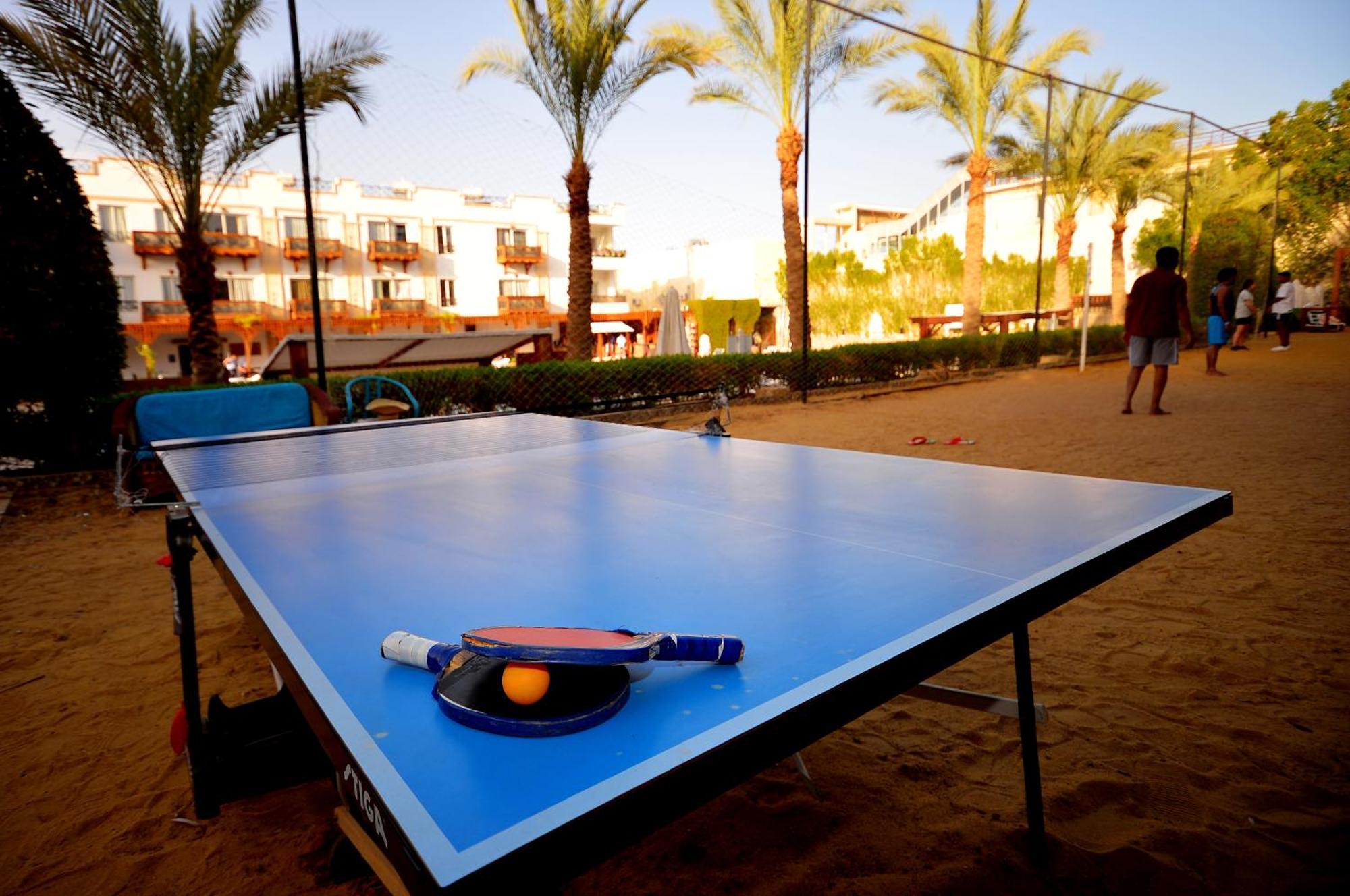 Falcon Naama Star Sharm el Sheikh
